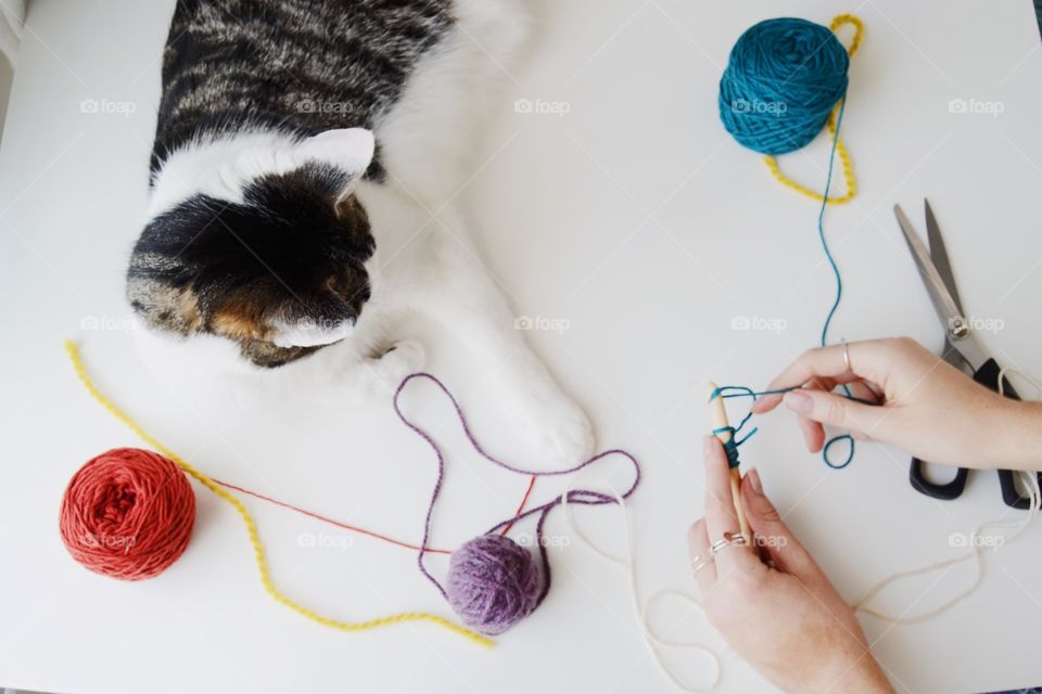 Crocheting with cat
