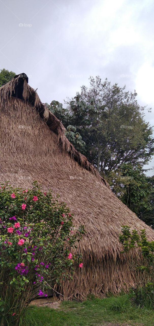 beautiful construction