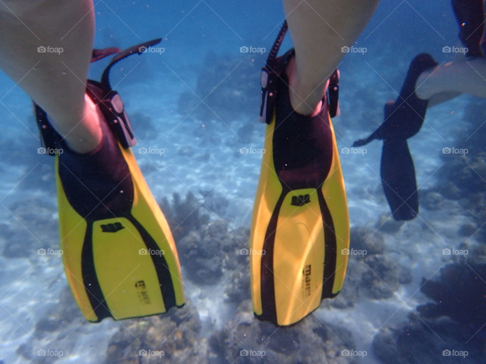 Two people snorkeling closeup of feet and yellow black fins against background reef and ocean floor