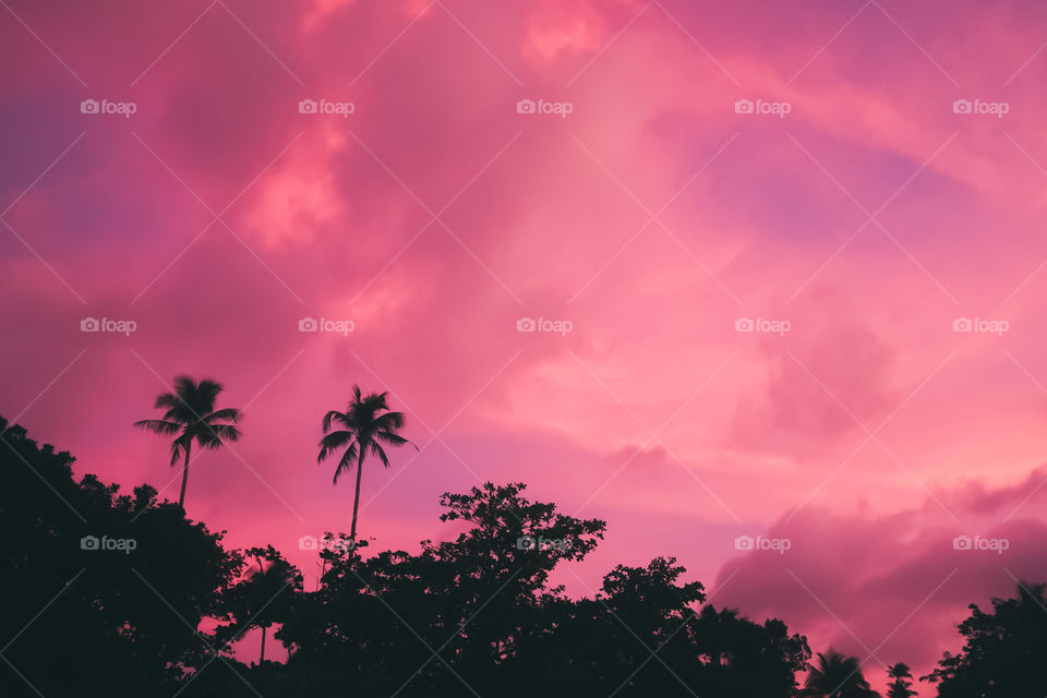Tropical and colorful sunset from the beach with palm trees in the foreground. Amazing contrast between the shadows and the sky