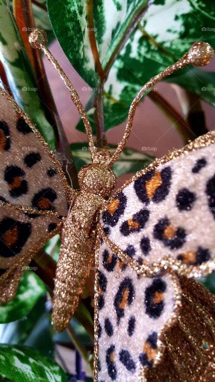 Beautiful macro shots