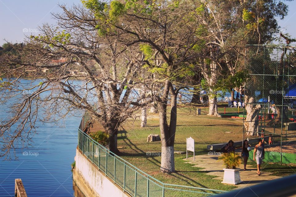 Beautiful view of the park near the lake