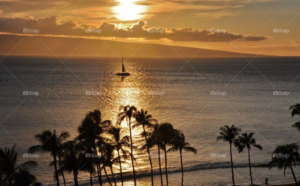 Sunset in Maui 