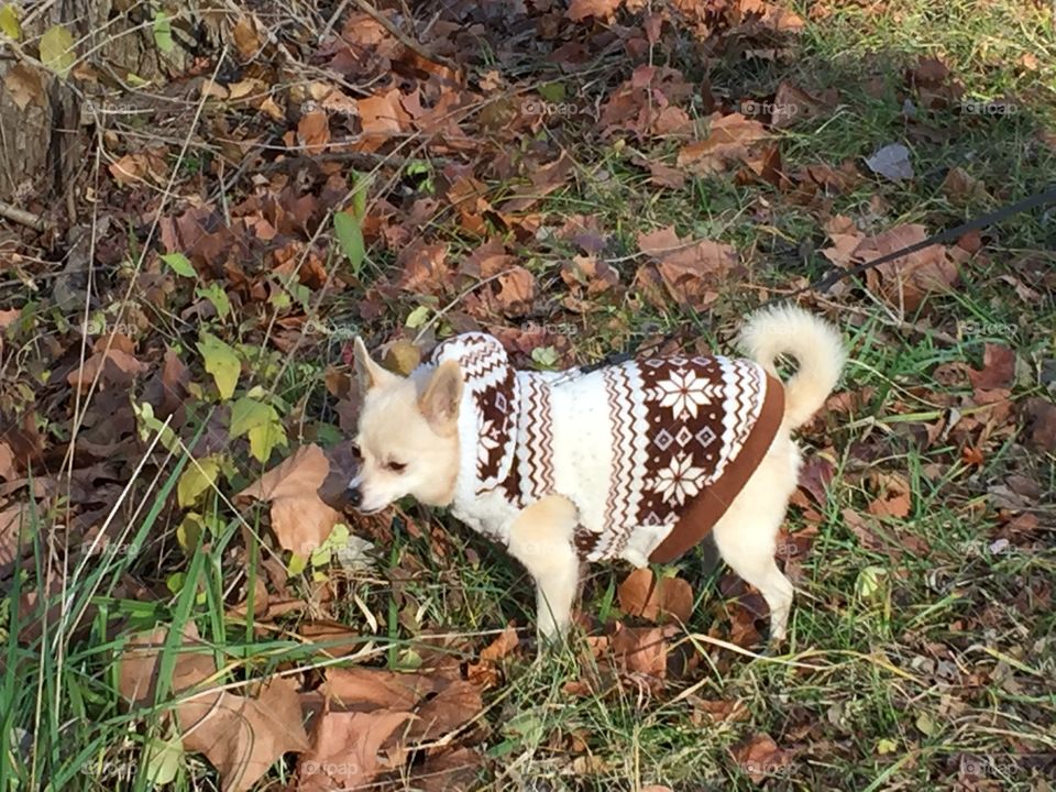 Fall is our favorite time for a hike 