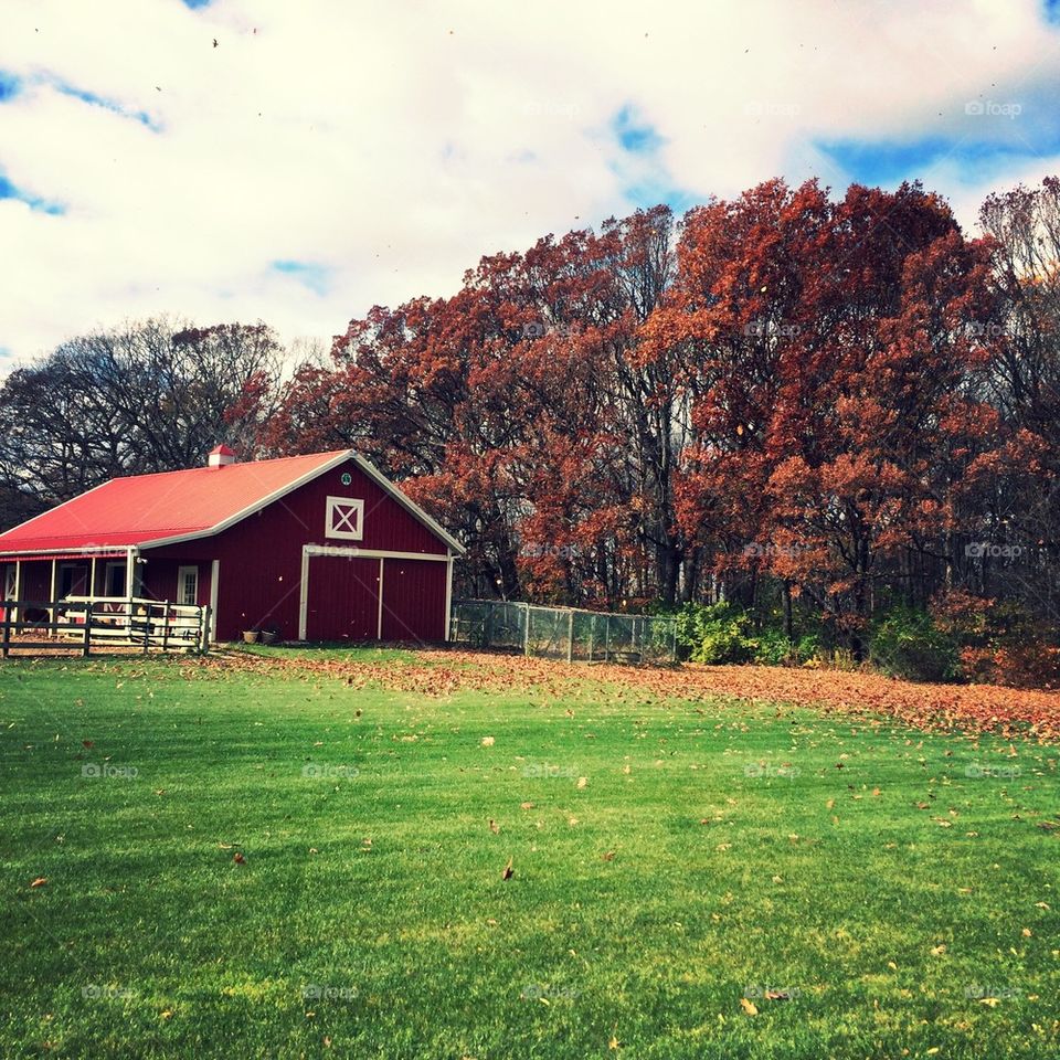 Fall Barn 