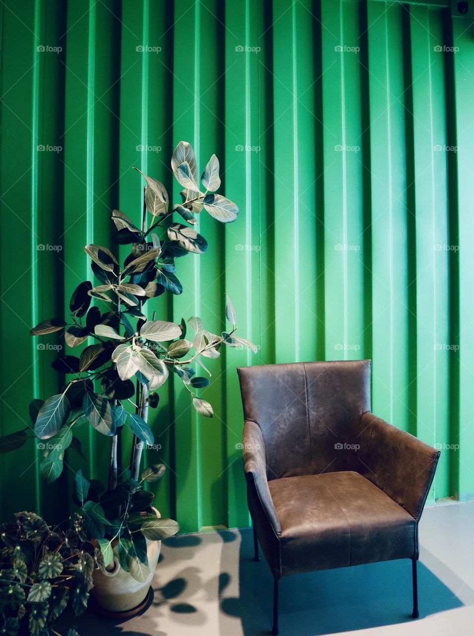 A couch and green wall