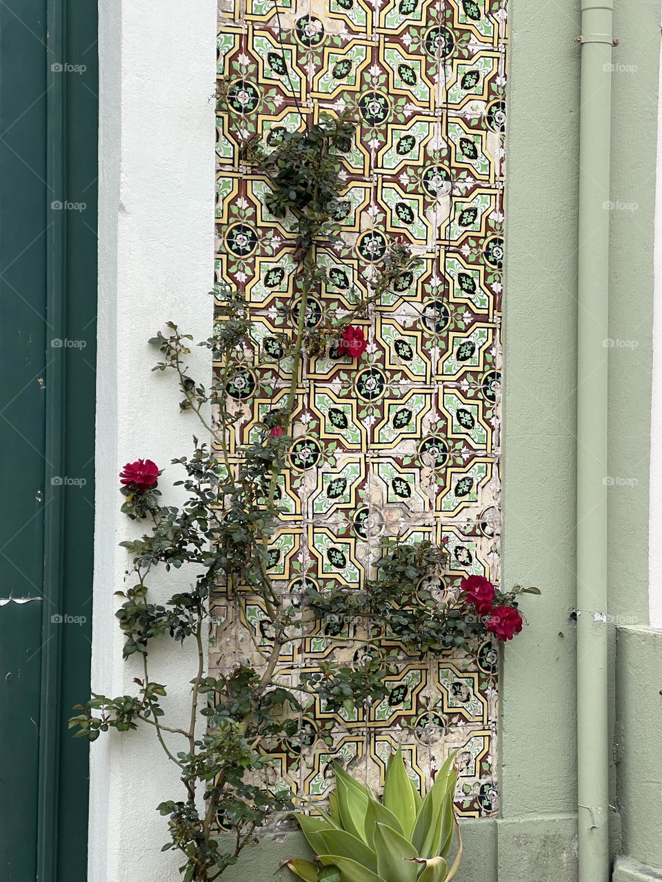 Flower and tile