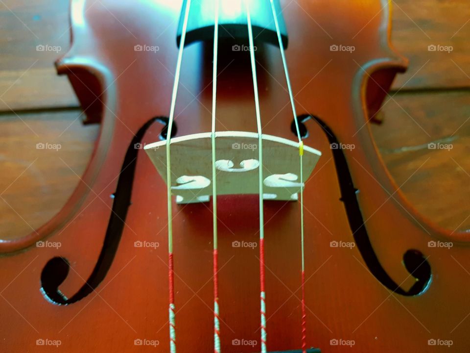 Detail of a violin in colour