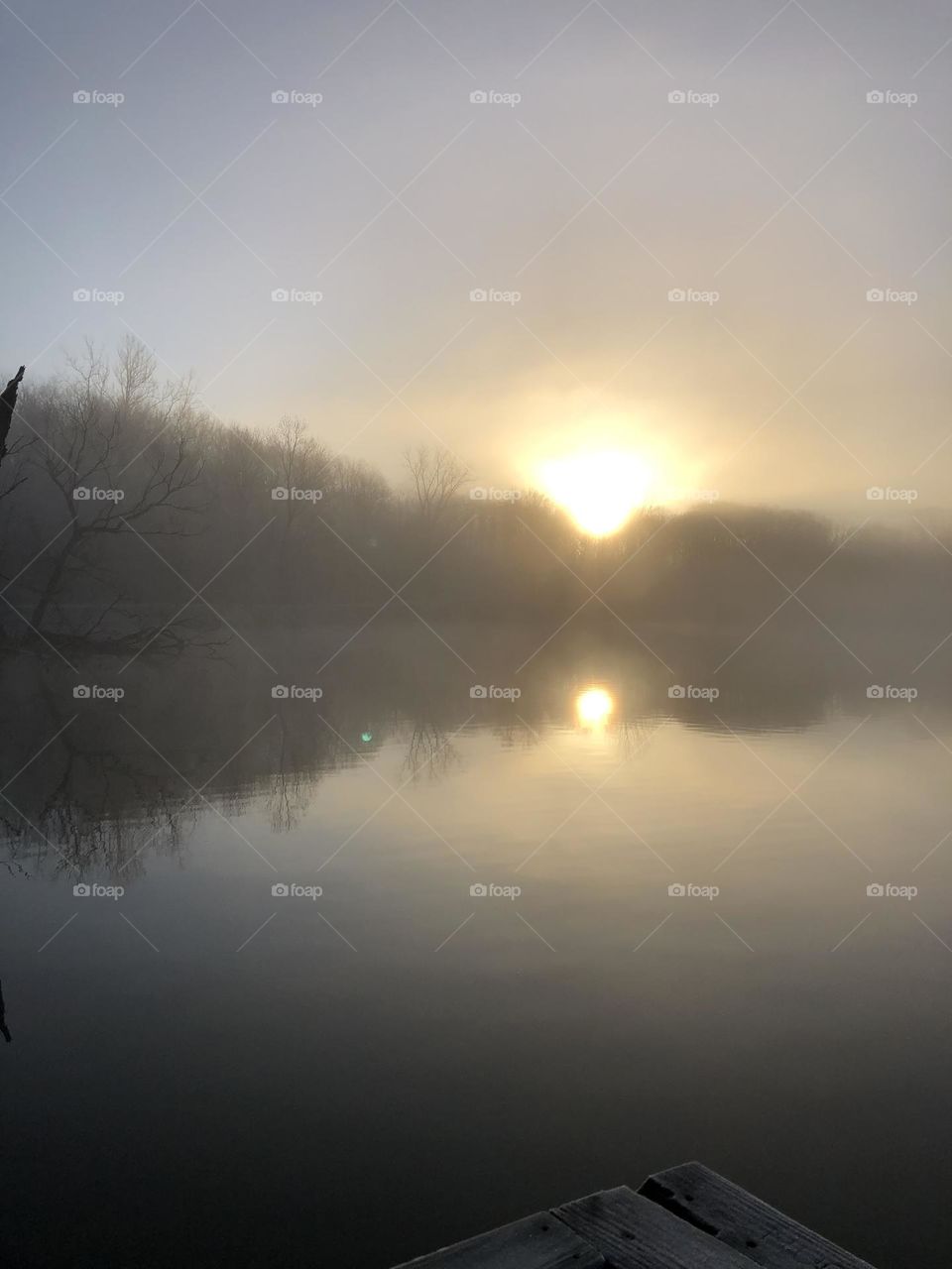 Early morning fishing