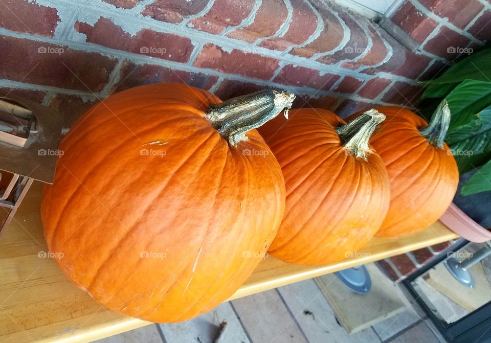 pumpkins set for carving