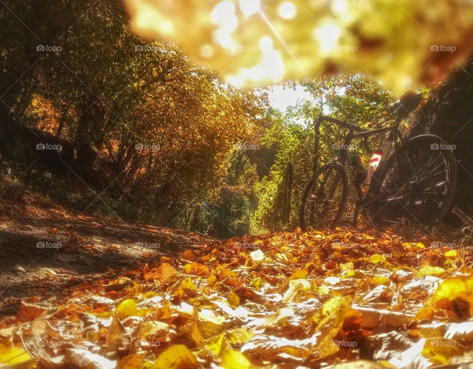 Brasov-Romania Adventure biking in the colorful autumn forest