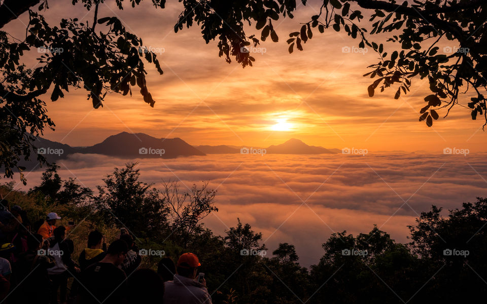 Sea of Fog