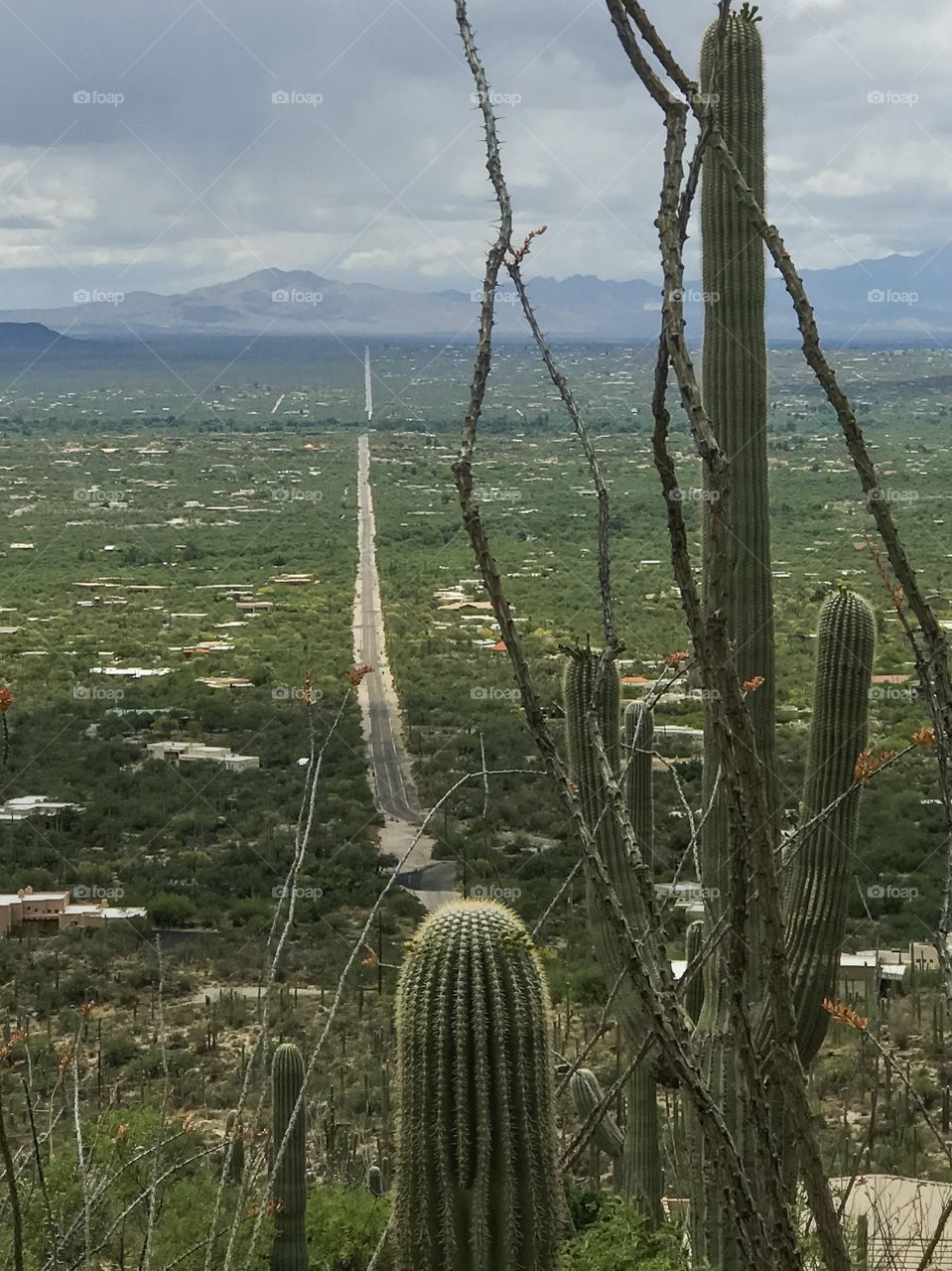 Nature - Hiking Adventures 