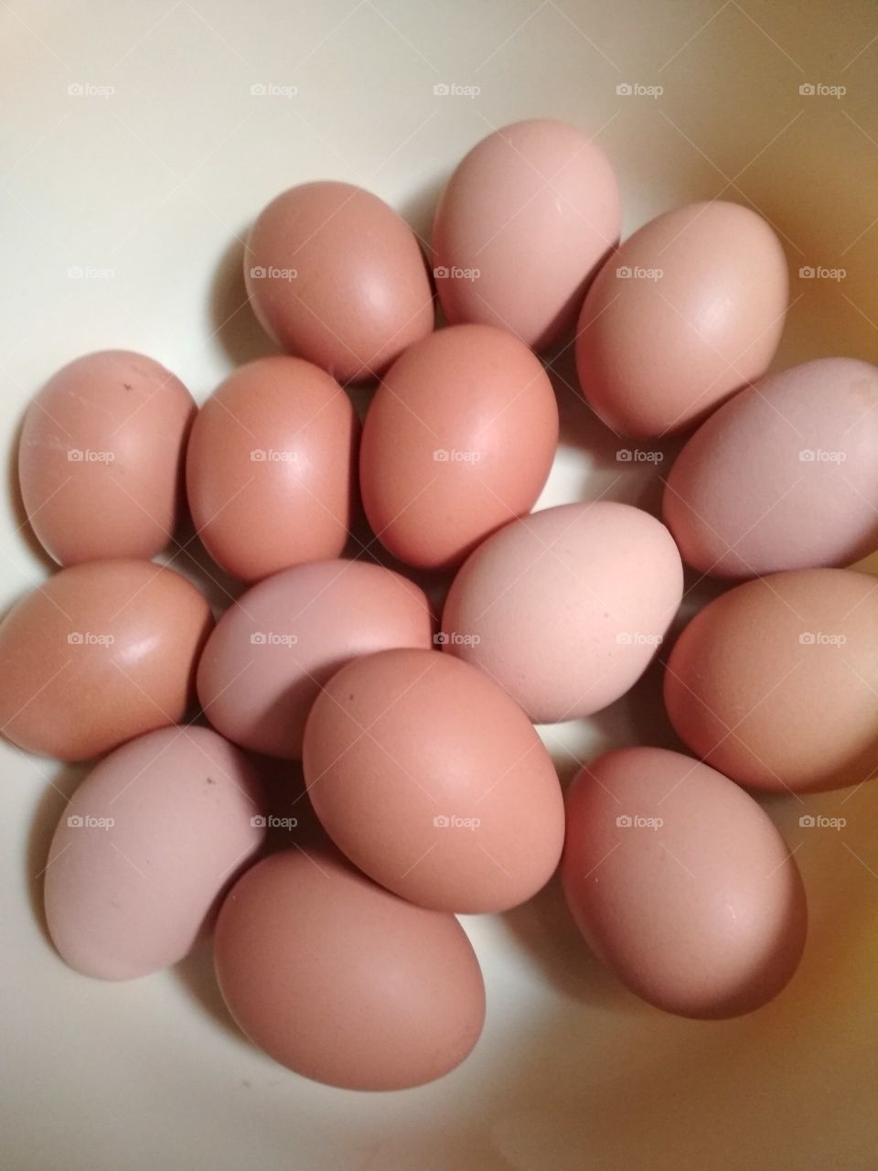 Eggs