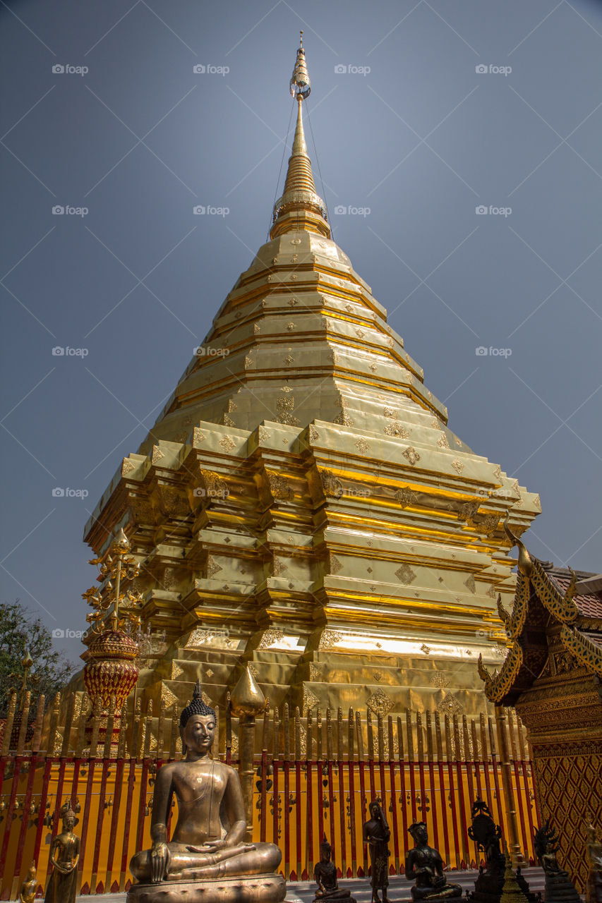 golden pagoda in the morning