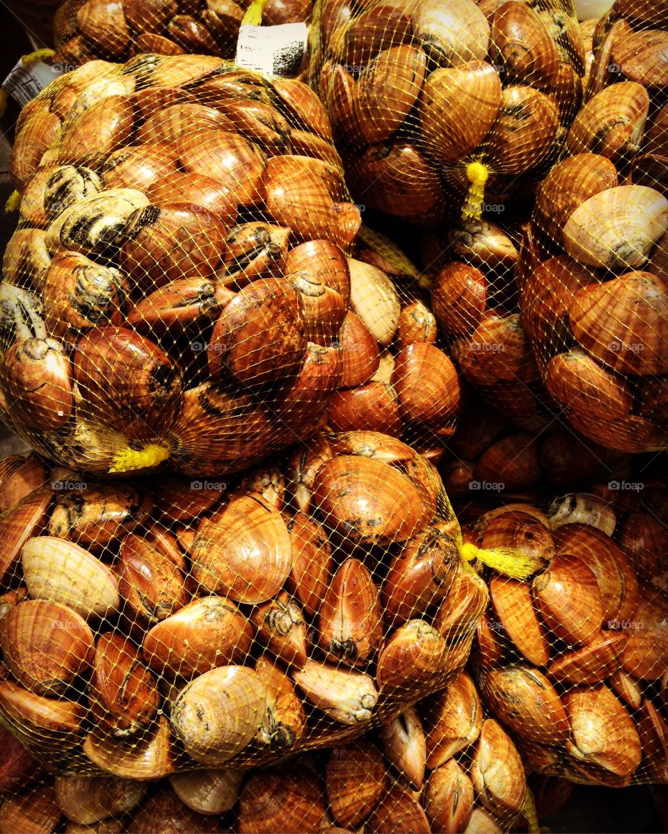 Fresh Clams at Setubal Fish Market