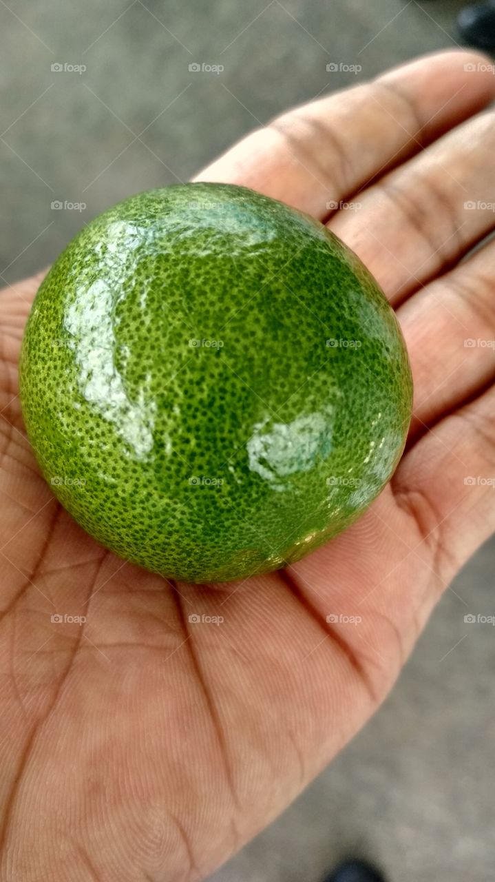 Green lemon