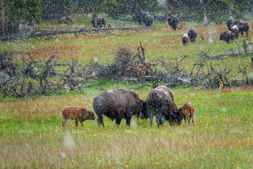 Under the rain 