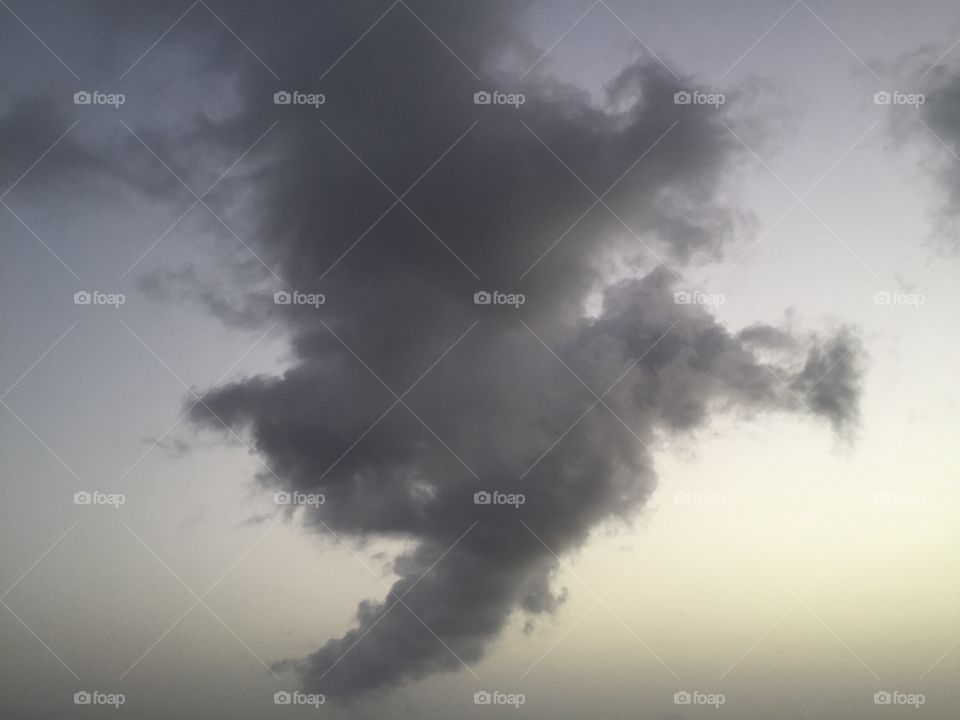 Animal cloud shape 