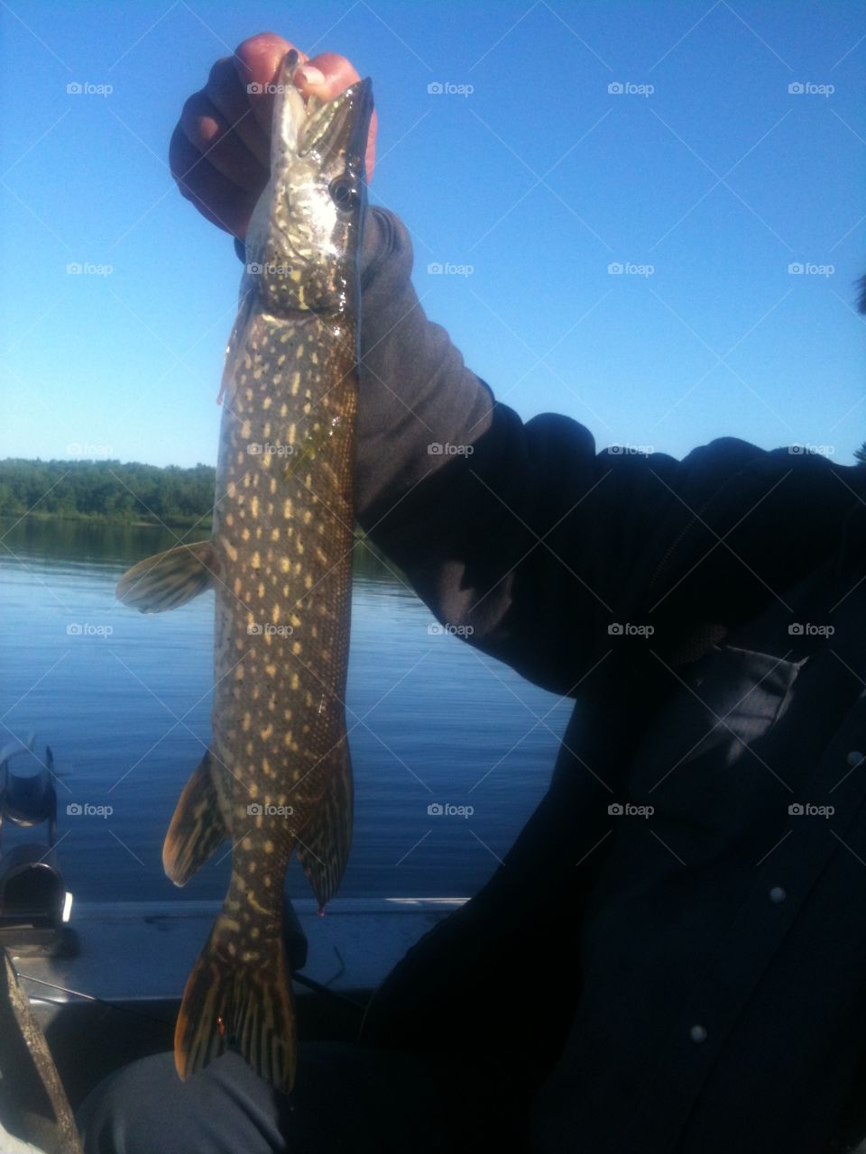 Perfect Pike catch