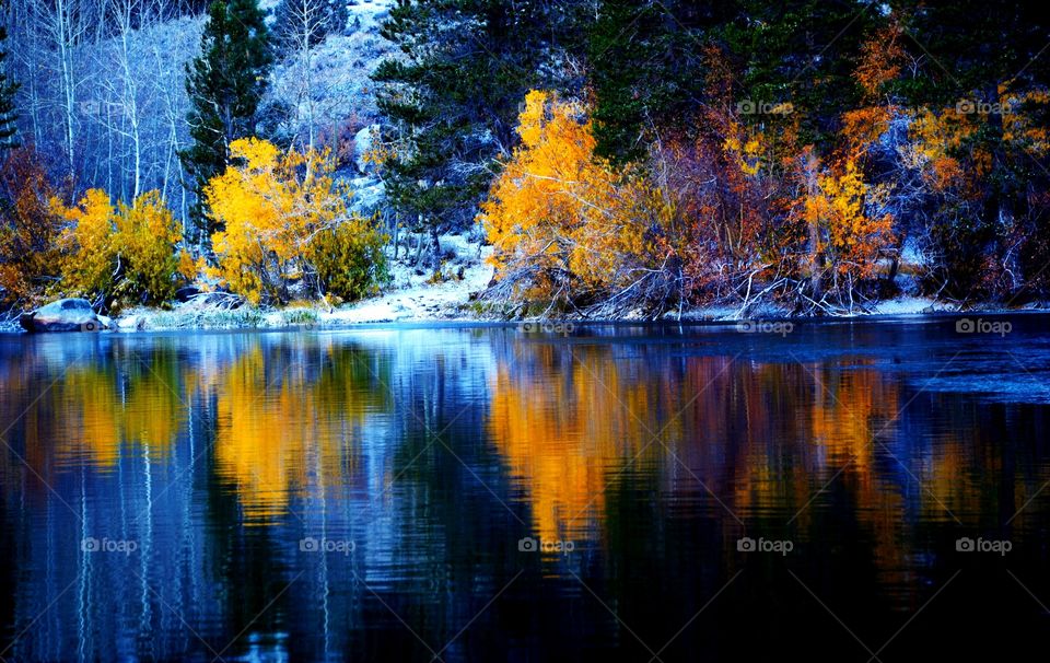 Color illustration in snow