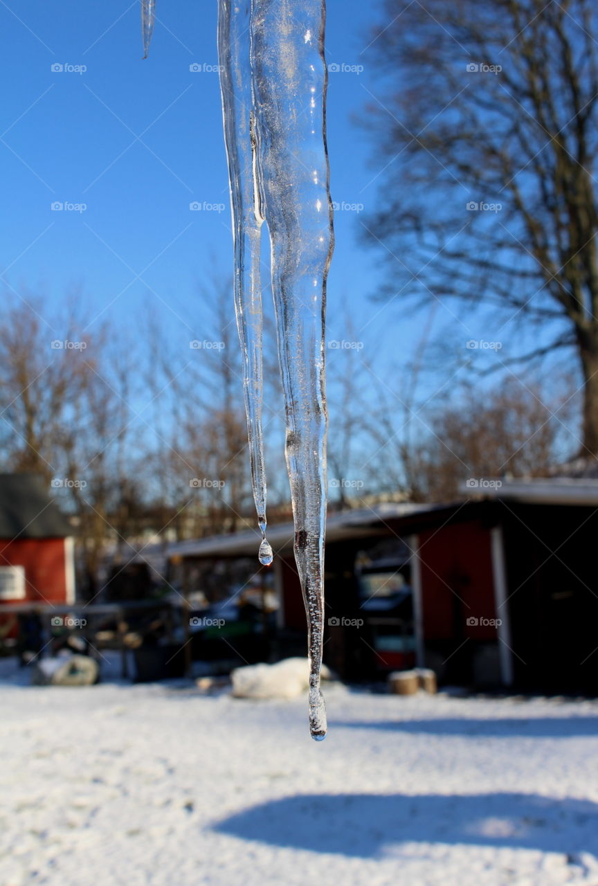 Icicle.