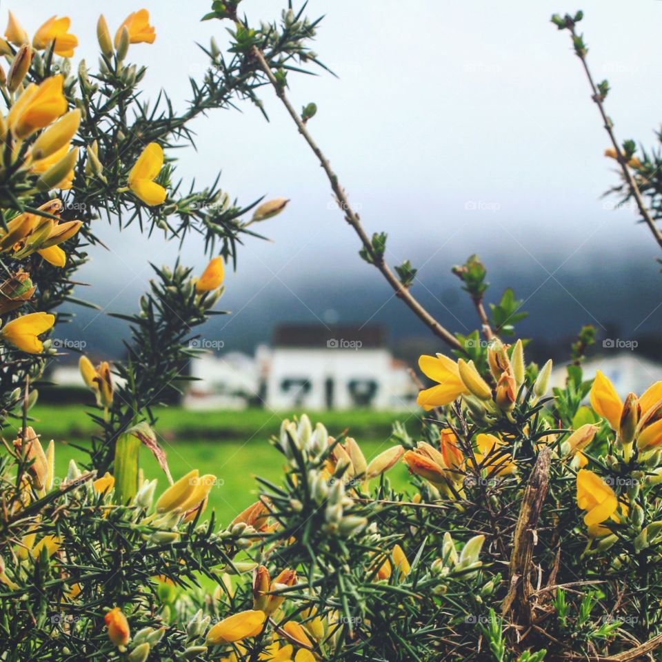 The village of Sete Cidades, Azores

