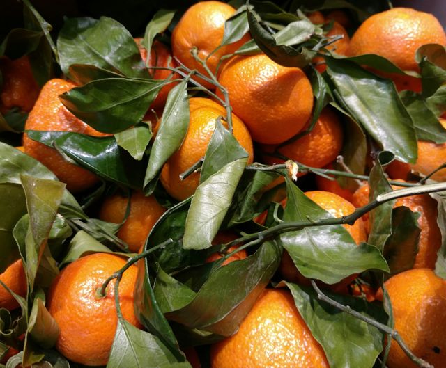 fresh from the tree