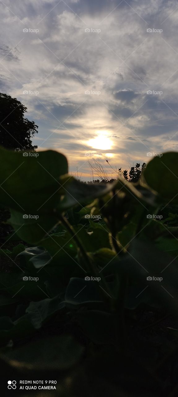 If the sun is looking very beautiful then tell it. Which touches the heart.