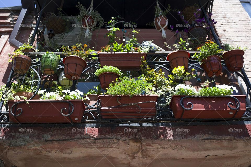 Balcony with many flowers