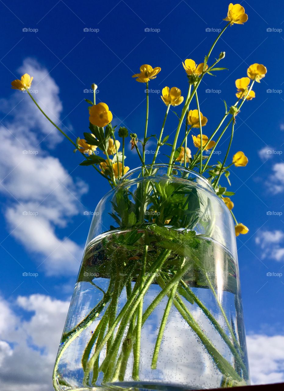 Buttercups in a clear vase 