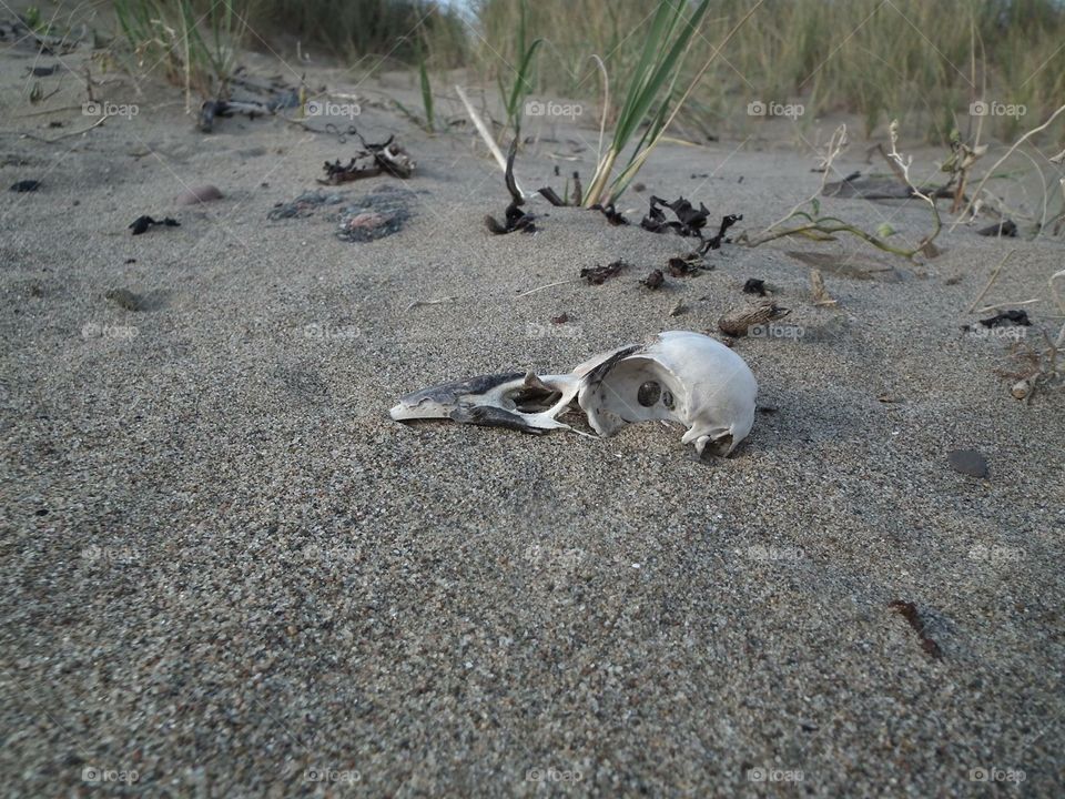 Beach resting place