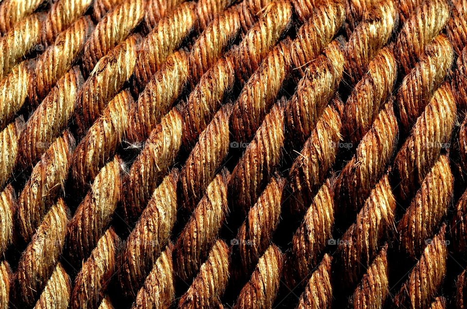 Golden ropes.
