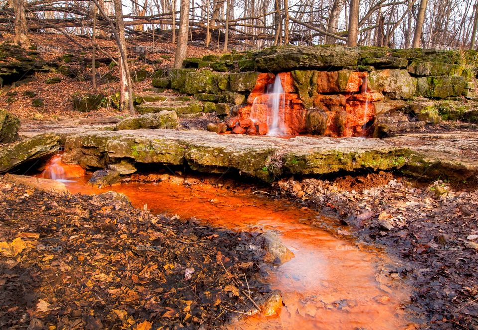 Yellowsprings forest and natural spring water