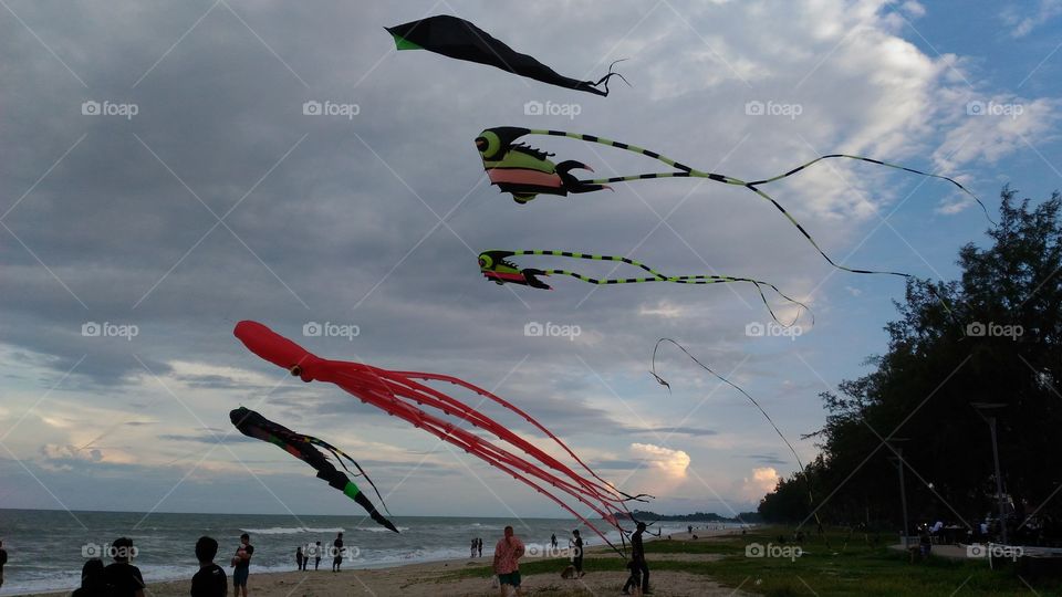 kites