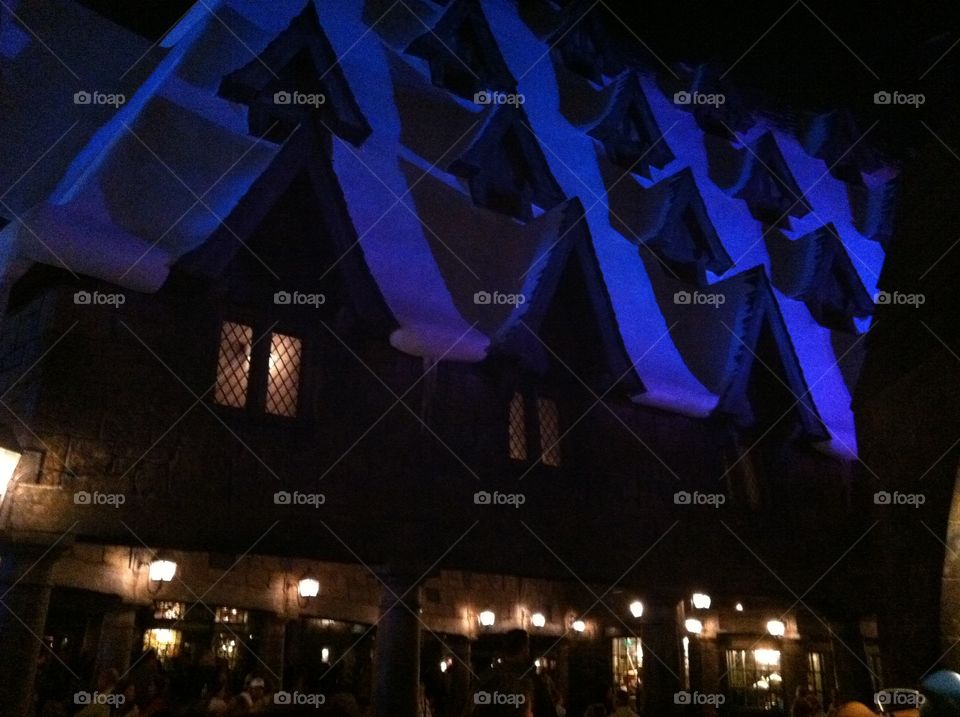 Rooftop with Windows-Harry Potter Wizarding World at Universal Studios 