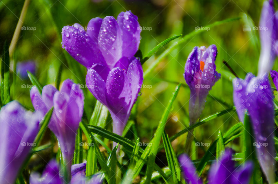 Macro shots!