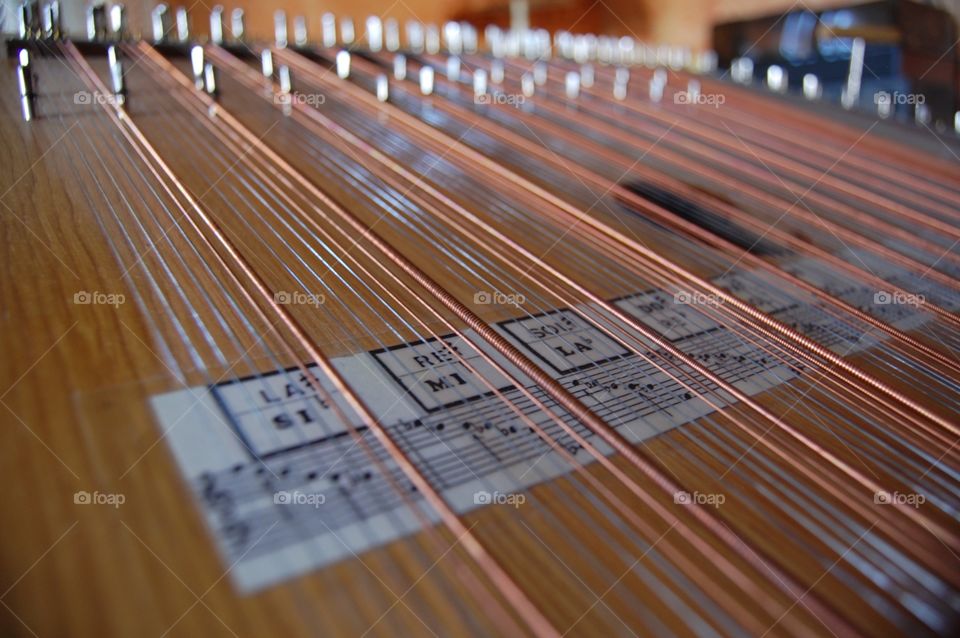 Zither strings  