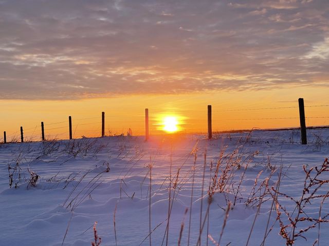 WINTER SUNSET IN THE PRAIRIES