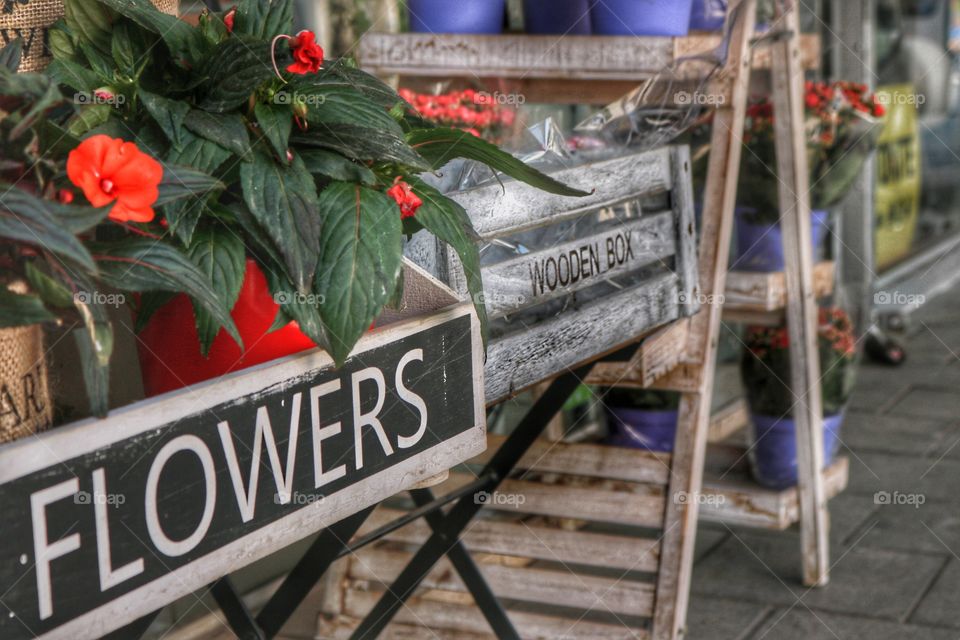 flowers shop