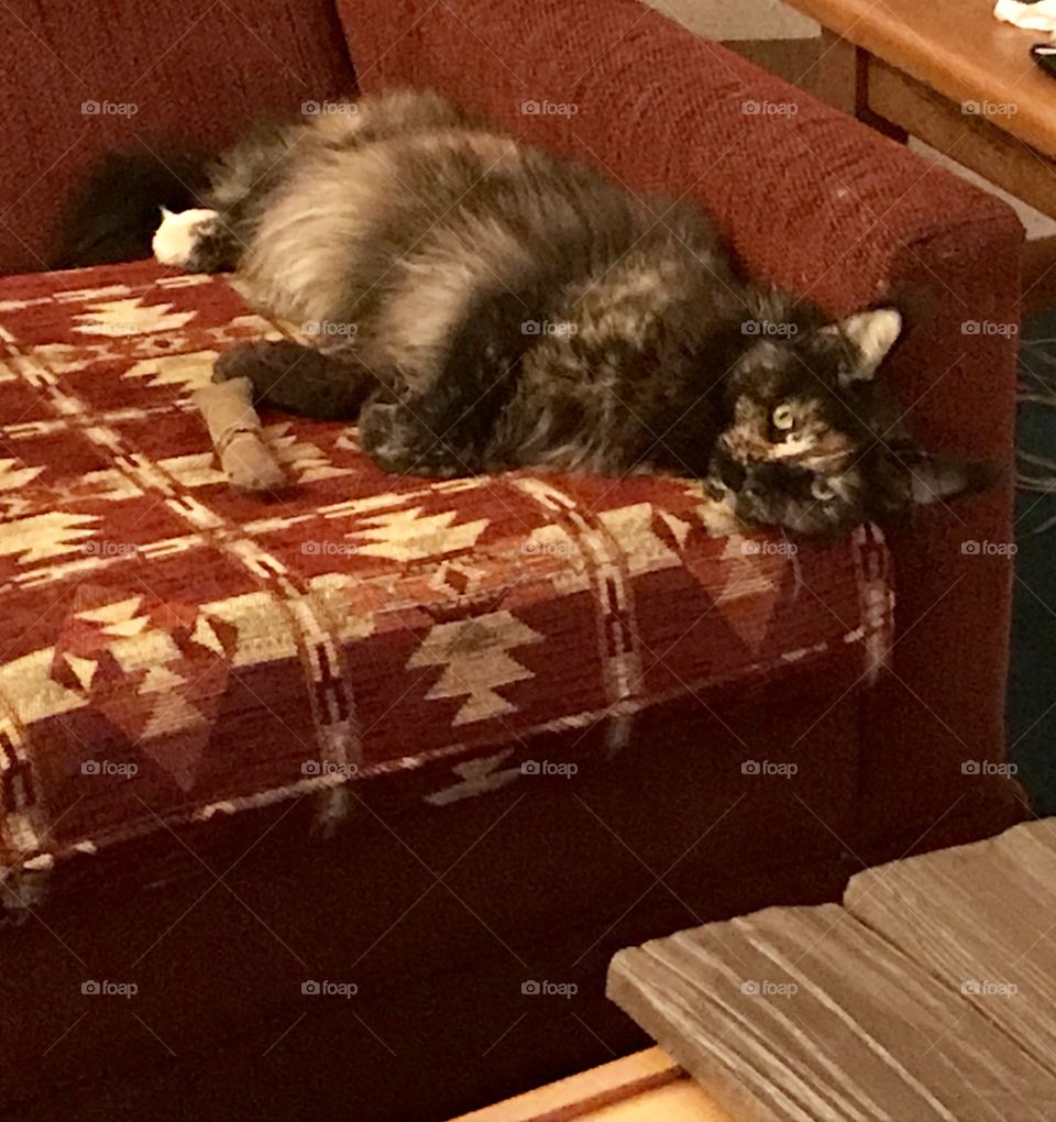 I don’t feel so good....