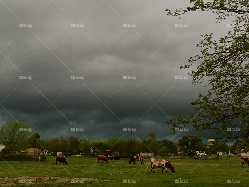 Tornado warning in rural Texas. 