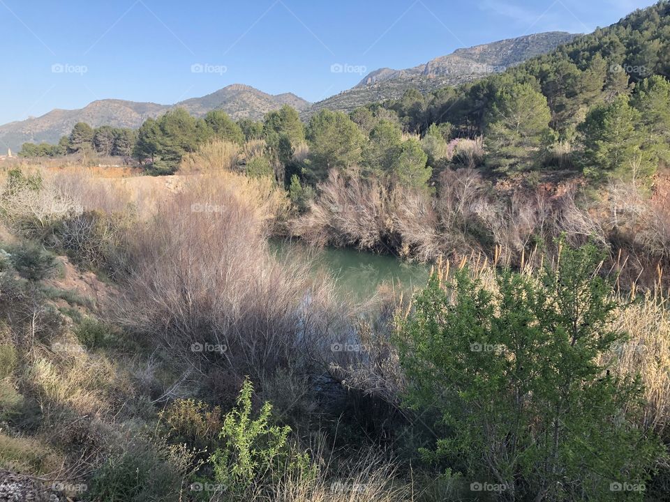 A glimpse of a stream can be seen through dense foliage leading to hills and a blue sky in the distance -  no edits, #no filter, #true photos, #true nature