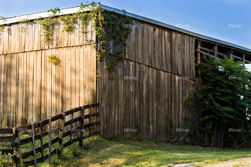 Barn