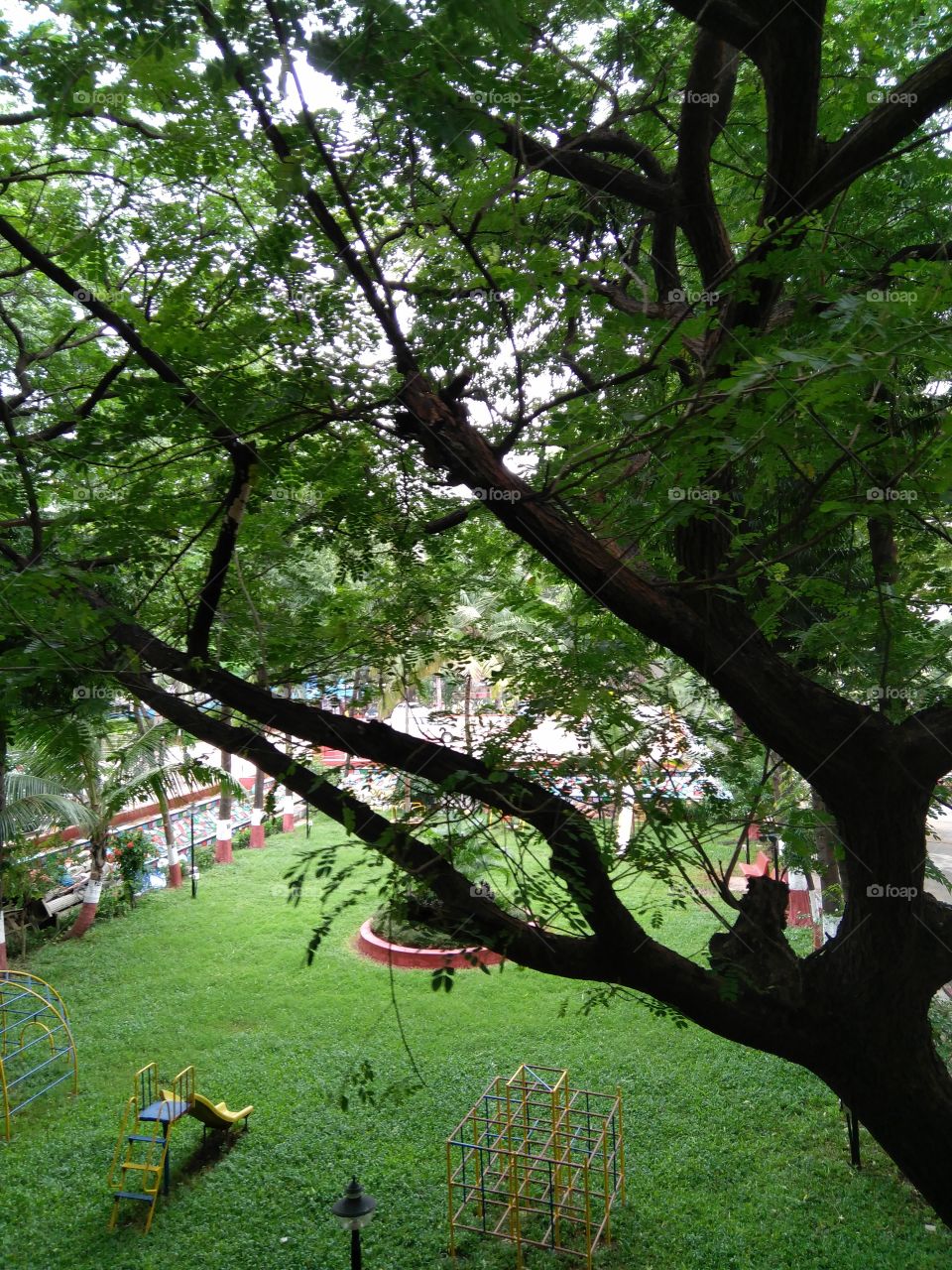 environment save the Earth