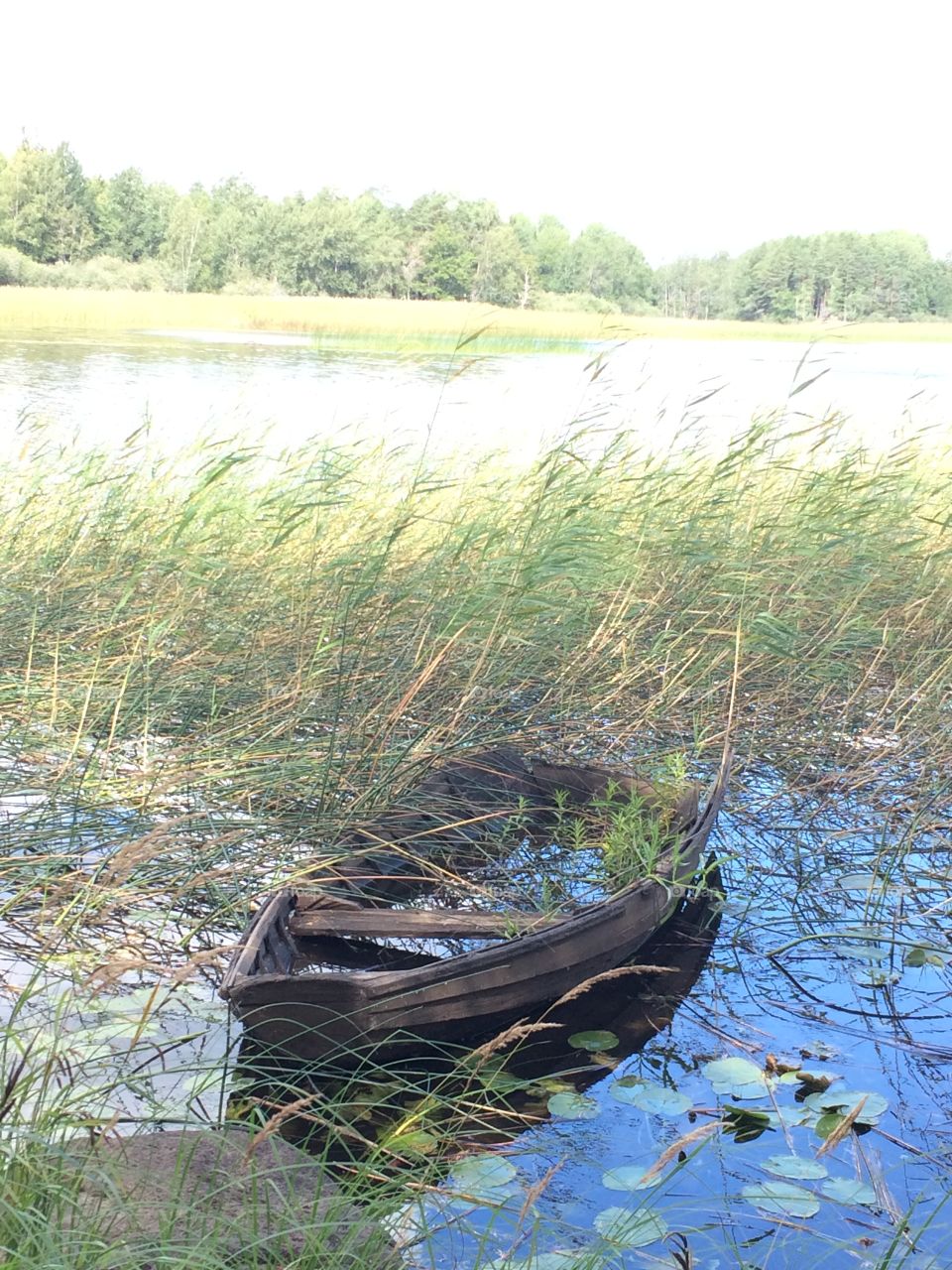 Old boat