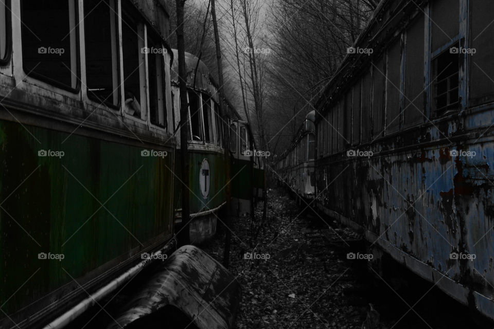 green and blue trolley abandon. trolleys left to rust away