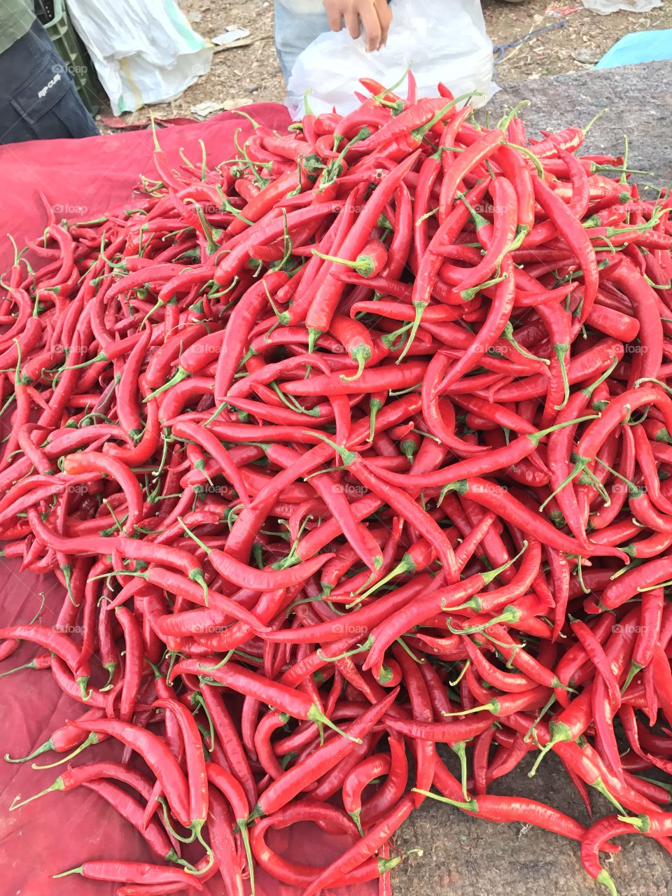 Organic red spicy 