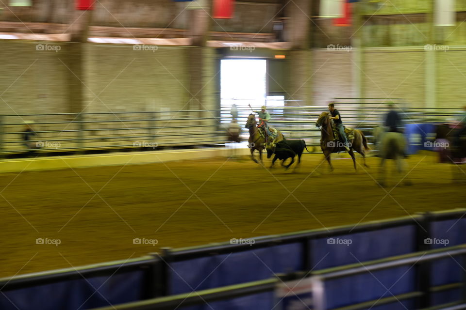 Team Roping