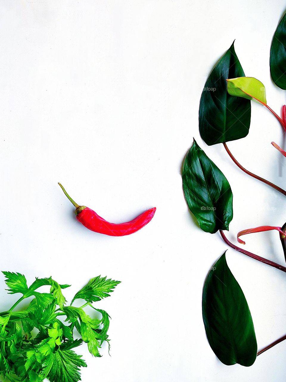 Green color.  On one side lies a stalk of a creeper with green leaves.  On the opposite side lies a green bunch of celery.  In the middle lies a red chili pepper in the shape of a smile.  The background is white.  View from above